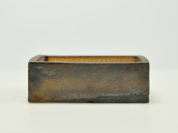 金彩 長方形【4号】【山野草鉢】鉢幅約12cm×奥行約10cm×高さ約4cm