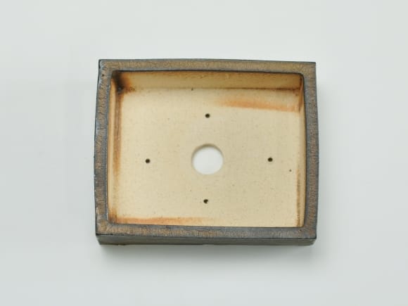 金彩 長方形【4号】【山野草鉢】鉢幅約12cm×奥行約10cm×高さ約4cm