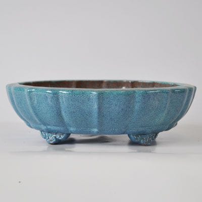 盆栽鉢　小判古鏡