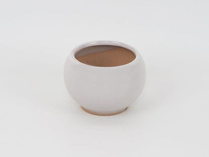万古焼 白 2.5号 1502-WY 幅8cm×高さ5.7cm