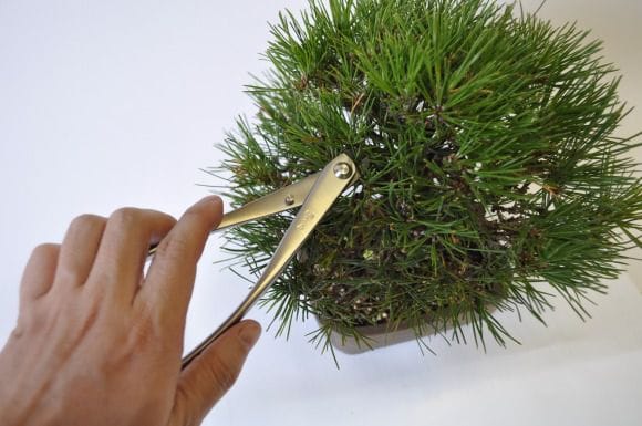 針金切先細 180mm (ステンレス)