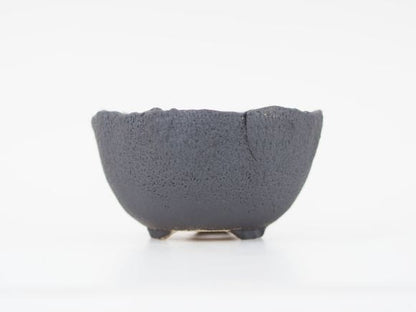 万古焼 黒 5号 丸型山草 幅15cm×7.5cm