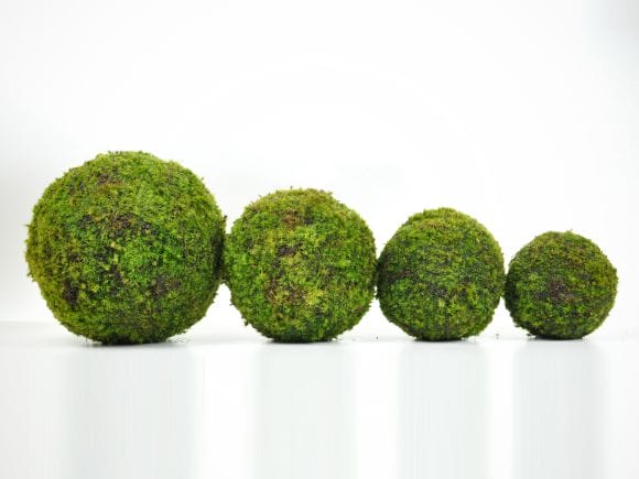 苔玉 盆栽 吊るしたり 置いたり ふんわり やさしい MOSS BALL