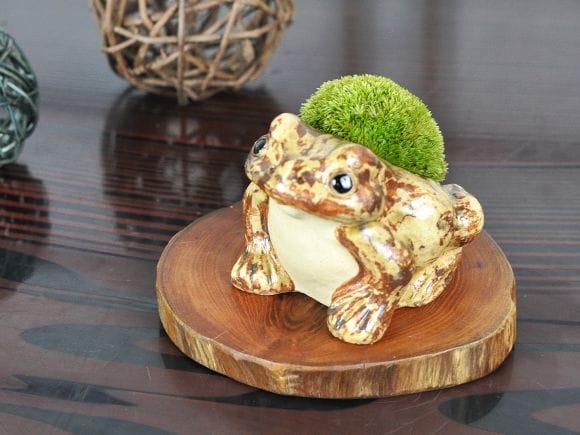 盆栽花台 クリ 丸型 小 幅10～12cm