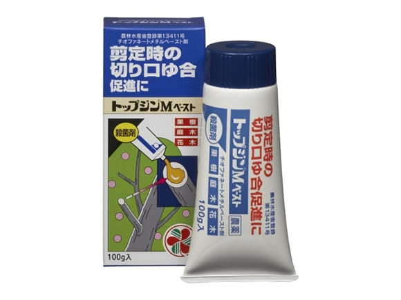 【塗布タイプ】殺菌剤 病気 保護 トップジンMペースト 100g 住友化学園芸