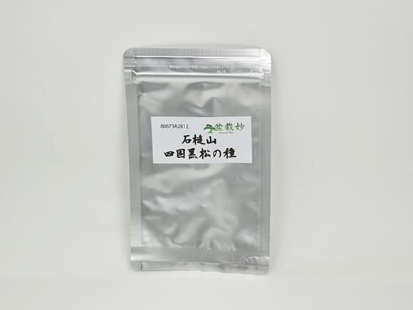 石鎚山 四国黒松の盆栽の種を販売｜盆栽妙 – 盆栽妙 本店