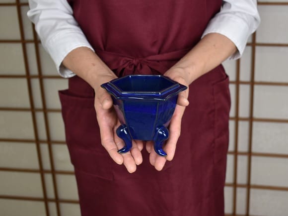 生子4号 六角三ツ足 幅13cm ×高11cm の盆栽を販売｜盆栽妙 – 盆栽妙 本店