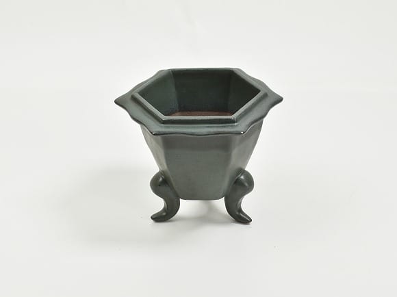 青銅 4号 六角三ツ足 幅13cm×高11cmの盆栽を販売｜盆栽妙 – 盆栽