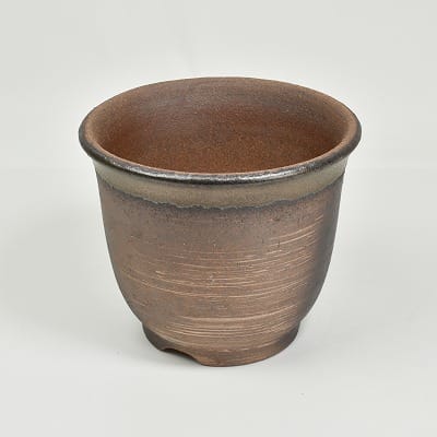 金吹 5号 エビネ鉢 幅16.5cm×高13.5cm