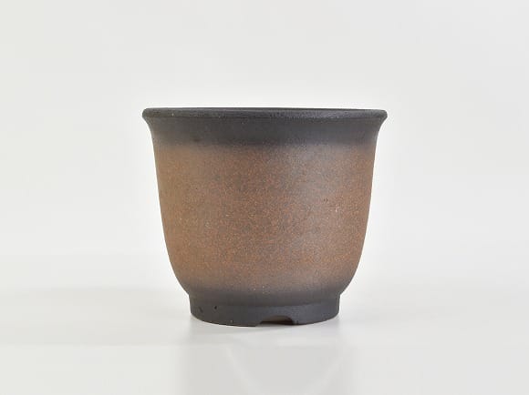 黒吹 5号 エビネ鉢 幅16.5cm×高13.5cmの盆栽を販売｜盆栽妙 – 盆栽妙 本店