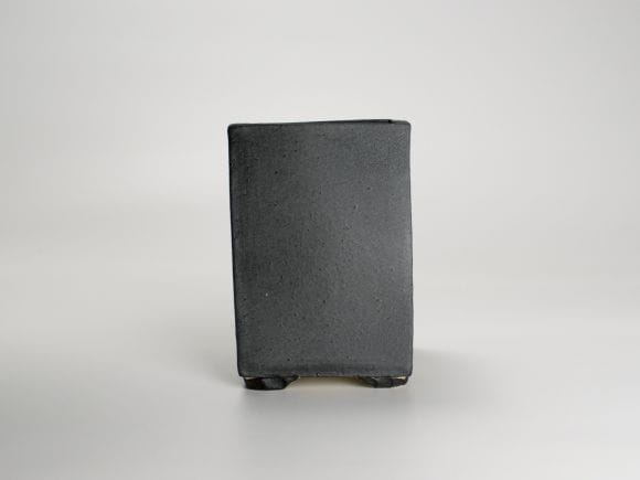 黒4.5号 正角ケンガイ 幅約9cm×高さ約14cmの盆栽を販売｜盆栽妙 – 盆栽