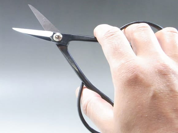 No.34D さつき鋏 150m/mの盆栽を販売｜盆栽妙 – 盆栽妙 本店