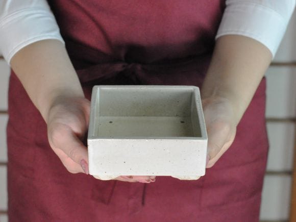 白 4号 正角鉢の盆栽を販売｜盆栽妙 – 盆栽妙 本店