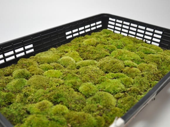 2967_1.jpg?v=1700702112&width=1946