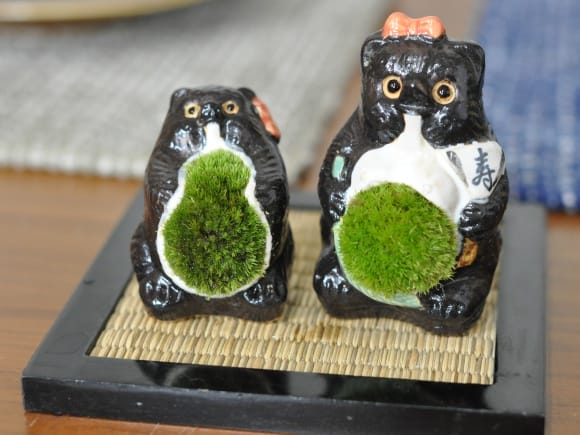Bonsai myo 信楽焼 たぬき ミニ かわいい 楽天市場 信楽焼 たぬき ミニ