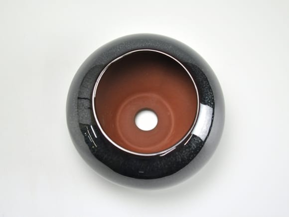 天目3.5号 鉢幅約11cm×高さ約7cmを販売｜盆栽妙 – 盆栽妙 本店