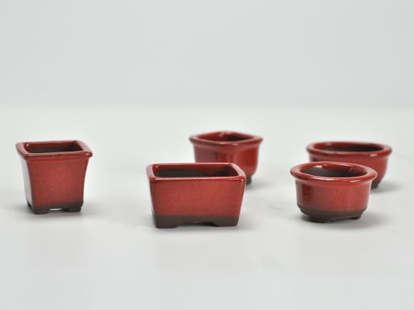 赤釉小鉢 12点セット 鉢幅約3～4cm×高さ約3～4cm
