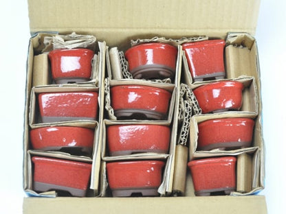 赤釉小鉢 12点セット 鉢幅約3～4cm×高さ約3～4cm