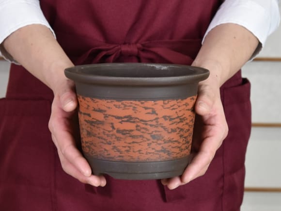 ウデ朱松皮桶型 5号 幅約17cm×高さ約11～12cmを販売｜盆栽妙 – 盆栽妙 本店
