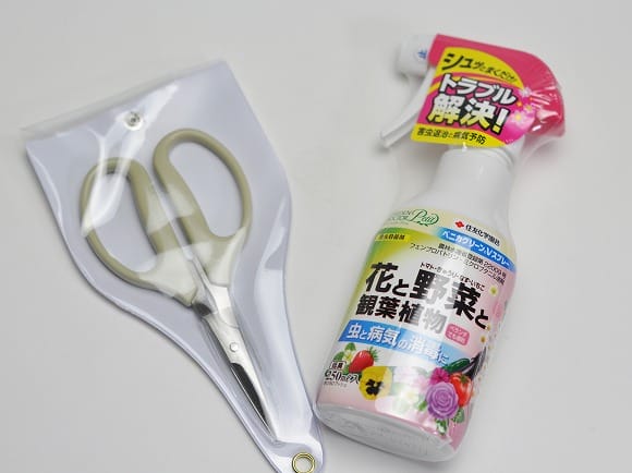 初心者必携盆栽道具セットの盆栽を販売｜盆栽妙 – 盆栽妙 本店