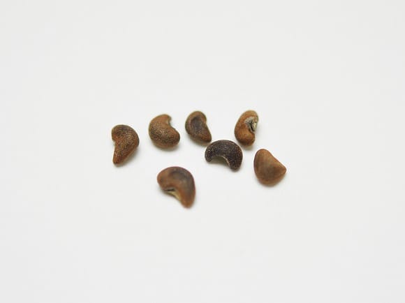 3167_1.jpg?v=1700709316&width=1946