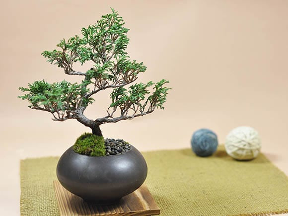 フラワースタンド 室内 玄関 木製 盆栽棚 花台 観葉植物 置き台