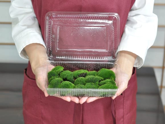 ビロード苔パックを販売｜盆栽妙 – 盆栽妙 本店