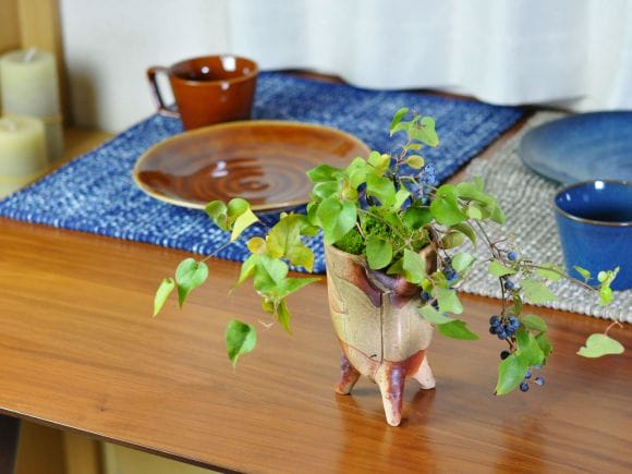 青葛藤(アオツヅラフジ)