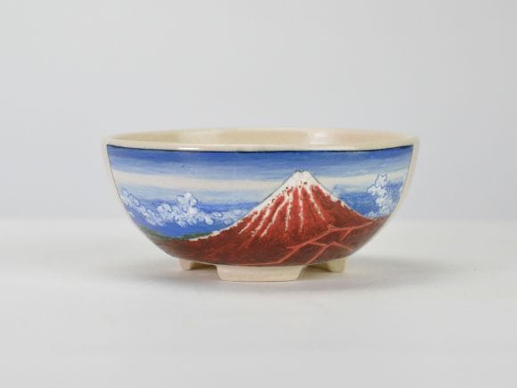 蝉山 山下白雨の盆栽を販売｜盆栽妙 – 盆栽妙 本店