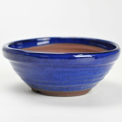 【萬古焼】生子5.5号 丸山草