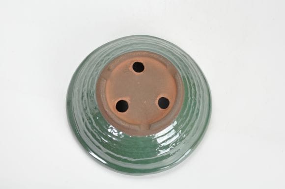【萬古焼】オリベ5.5号 丸山草