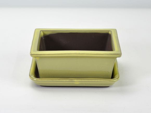 【萬古焼】黄4.5号長角切足　受け皿付き