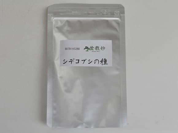 シデコブシの種子 盆栽の種