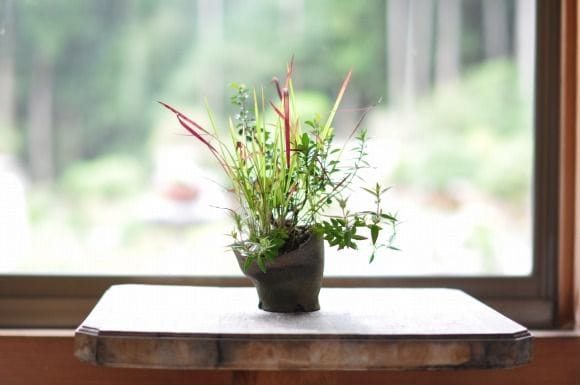 ミニ門松　【12月20日以降にお届け】お正月を派手やかに飾る縁起の良い植物寄せ植え