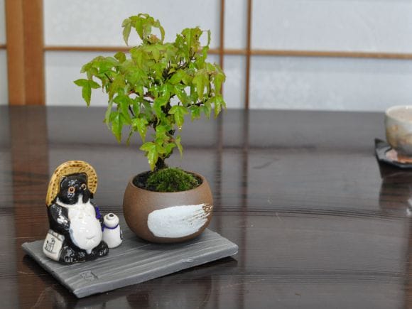希少品・四角蓮華台石・飾り台・盆栽台 Amazon｜木製台座 ディスプレイスタンド 四角台座 純木 花台 飾
