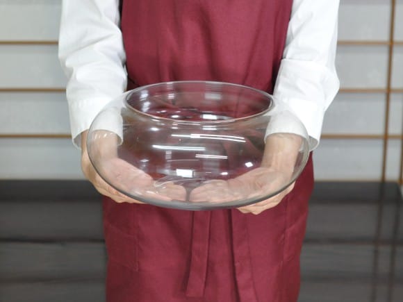 フラワーベース ガラス円型の盆栽を販売｜盆栽妙 – 盆栽妙 本店