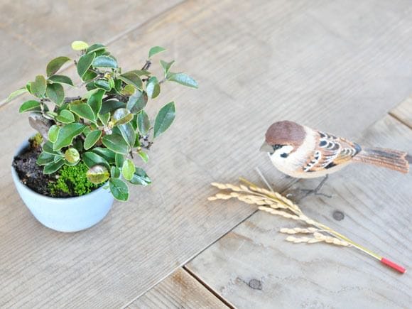 カリン　1点もの No.232