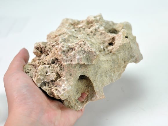 天然水石 赤褐色 盆栽用 楽天市場】津軽錦石 陸奥 青森 赤石 自然石 庭石 錦石 景石 青森県産