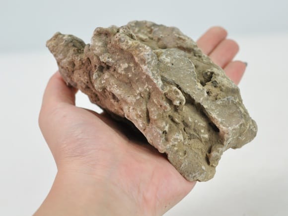 入道石( にゅうどうせき) を販売｜盆栽妙 – 盆栽妙 本店