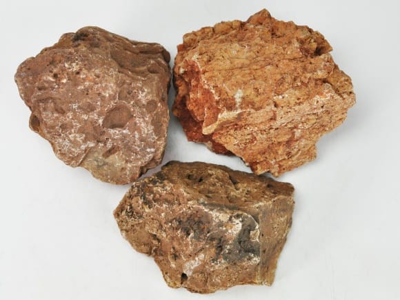 楓葉石( ふうようせき) を販売｜盆栽妙 – 盆栽妙 本店