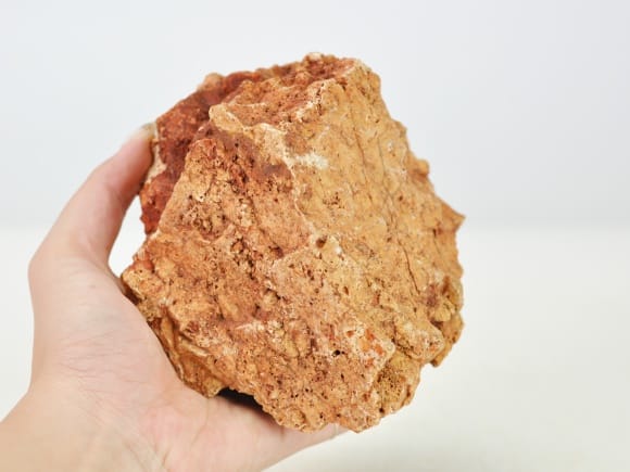 楓葉石( ふうようせき) を販売｜盆栽妙 – 盆栽妙 本店