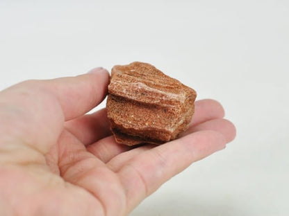 紅木化石(こうぼっかせき)
