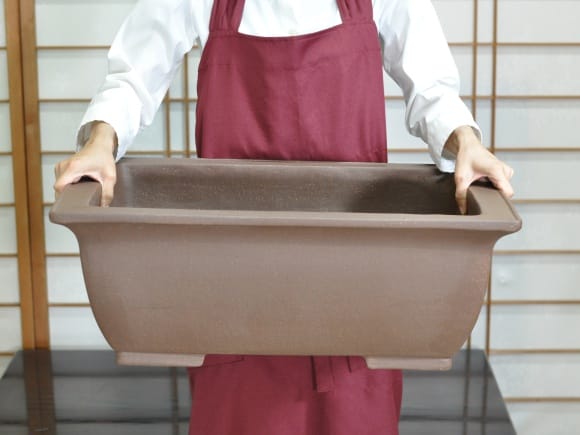 紫泥長方中深 盆栽鉢20号  鉢幅60cm×奥行き43cm×高さ22cm