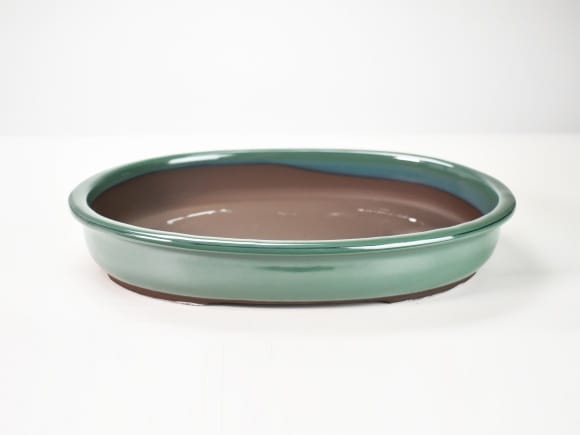 実生 オベサ鉄甲 陶器鉢ごと発送 盆栽鉢 鉄鉢 織部釉(緑) 瀬戸焼 (6号(約19センチ)) – うめきち