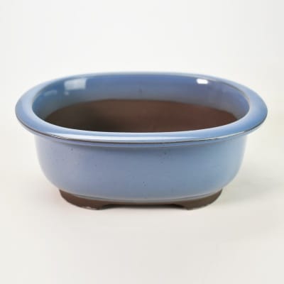 瀬戸焼 キンヨー小判エン付 6号 幅18cm×高さ6.8cm