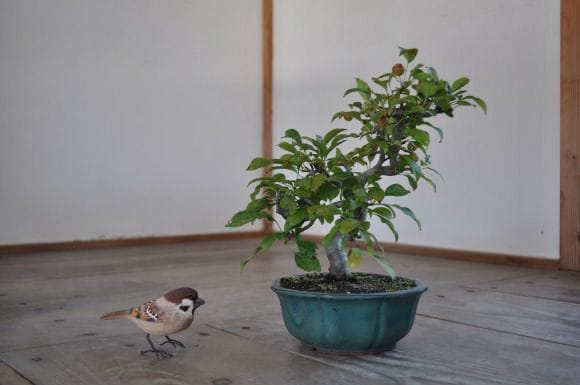 深山海棠　1点もの　No.320