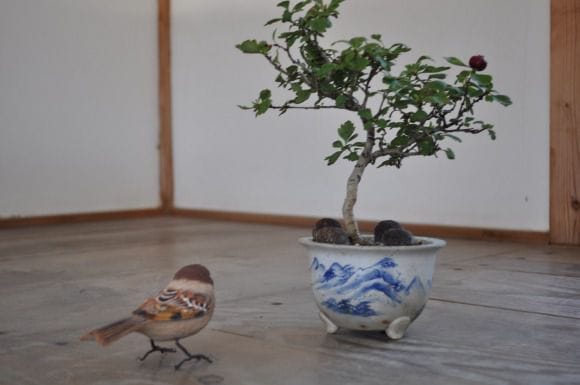 さんざし　1点もの　No.321