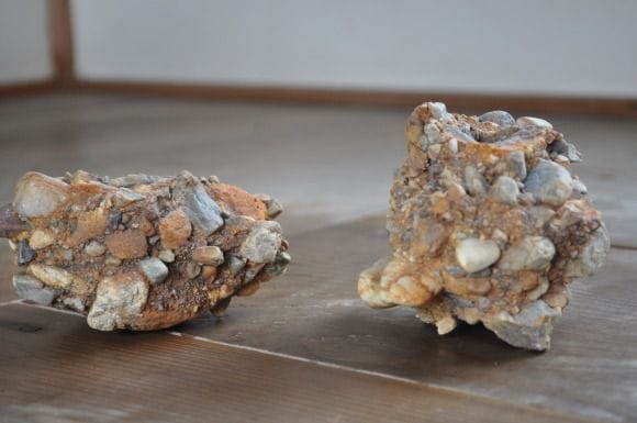 さざれ石(岐阜多治見)の盆栽を販売｜通信教育の盆栽妙 – 盆栽妙 本店