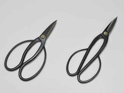 五葉松とはじめての道具セット