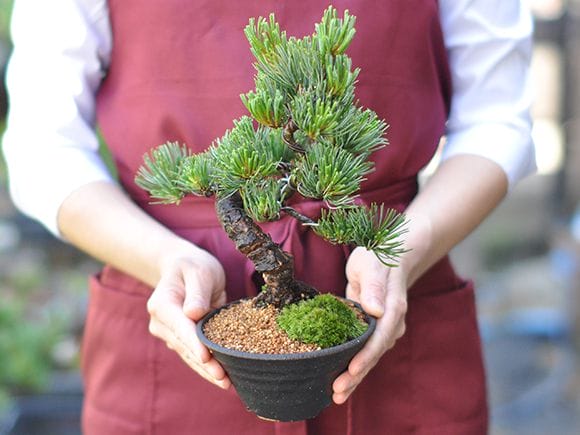 特別な人にバレンタインチョコと一緒に贈る大人のプレゼント 特選